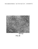 PROCESSING BIOMASS diagram and image