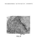 PROCESSING BIOMASS diagram and image