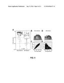 Genotypic and Phenotypic Analysis of Circulating Tumor Cells to Monitor     Tumor Evolution in Prostate Cancer Patients diagram and image