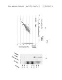 Method and Device for Protein Preparation diagram and image