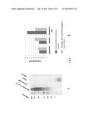 Method and Device for Protein Preparation diagram and image