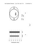 Method and Device for Protein Preparation diagram and image