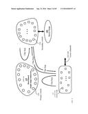 large-scale data center based on a contiguous network diagram and image