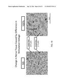 ELECTRIC OR MAGNETIC STIMULATION DEVICE FOR TREATMENT OF CIRCULATORY     DISEASE diagram and image