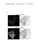 MEANS AND METHODS FOR THE REDUCTION OF PHOTORESPIRATION IN CROPS diagram and image