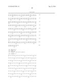 MEANS AND METHODS FOR THE REDUCTION OF PHOTORESPIRATION IN CROPS diagram and image