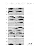 PROTECTION OF PLANTS AGAINST OXIDATIVE STRESS diagram and image