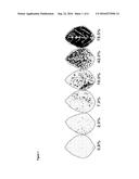 FUNGAL RESISTANT PLANTS EXPRESSING CASAR diagram and image