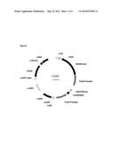 FUNGAL RESISTANT PLANTS EXPRESSING CASAR diagram and image