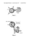 METHODS FOR ENGINEERING T CELLS FOR IMMUNOTHERAPY BY USING RNA-GUIDED CAS     NUCLEASE SYSTEM diagram and image