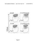 METHODS FOR ENGINEERING T CELLS FOR IMMUNOTHERAPY BY USING RNA-GUIDED CAS     NUCLEASE SYSTEM diagram and image