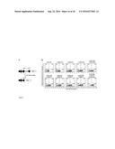 TRANSDUCTION BUFFER diagram and image