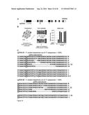 TRANSDUCTION BUFFER diagram and image