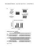 TRANSDUCTION BUFFER diagram and image