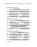 TRANSDUCTION BUFFER diagram and image