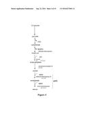 AN ELECTRON CONSUMING ETHANOL PRODUCTION PATHWAY TO DISPLACE GLYCEROL     FORMATION IN S. CEREVISIAE diagram and image