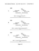 AN ELECTRON CONSUMING ETHANOL PRODUCTION PATHWAY TO DISPLACE GLYCEROL     FORMATION IN S. CEREVISIAE diagram and image