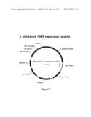 AN ELECTRON CONSUMING ETHANOL PRODUCTION PATHWAY TO DISPLACE GLYCEROL     FORMATION IN S. CEREVISIAE diagram and image