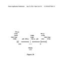 AN ELECTRON CONSUMING ETHANOL PRODUCTION PATHWAY TO DISPLACE GLYCEROL     FORMATION IN S. CEREVISIAE diagram and image