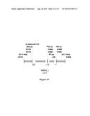 AN ELECTRON CONSUMING ETHANOL PRODUCTION PATHWAY TO DISPLACE GLYCEROL     FORMATION IN S. CEREVISIAE diagram and image