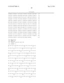 AN ELECTRON CONSUMING ETHANOL PRODUCTION PATHWAY TO DISPLACE GLYCEROL     FORMATION IN S. CEREVISIAE diagram and image