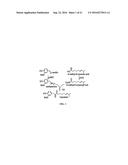 METHODS OF USING ACYL-COA SYNTHETASE FOR BIOSYNTHETIC PRODUCTION OF     ACYL-COAS diagram and image