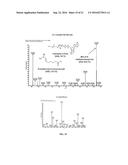 METHODS OF USING ACYL-COA SYNTHETASE FOR BIOSYNTHETIC PRODUCTION OF     ACYL-COAS diagram and image