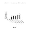 EXPRESSION SYSTEM FOR PRODUCING PROTEIN HAVING A N-TERMINAL PYROGLUTAMATE     RESIDUE diagram and image