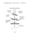 SYNTHESIS AND ENRICHMENT OF NUCLEIC ACID SEQUENCES diagram and image