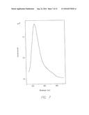 PROCESSES FOR QUANTITATIVE OR QUALITATIVE DETECTION OF SINGLE-STRANDED OR     DOUBLE-STRANDED NUCLEIC ACIDS diagram and image