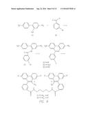 PROCESSES FOR QUANTITATIVE OR QUALITATIVE DETECTION OF SINGLE-STRANDED OR     DOUBLE-STRANDED NUCLEIC ACIDS diagram and image