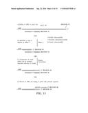 PROCESSES FOR QUANTITATIVE OR QUALITATIVE DETECTION OF SINGLE-STRANDED OR     DOUBLE-STRANDED NUCLEIC ACIDS diagram and image