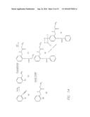 PROCESSES FOR QUANTITATIVE OR QUALITATIVE DETECTION OF SINGLE-STRANDED OR     DOUBLE-STRANDED NUCLEIC ACIDS diagram and image