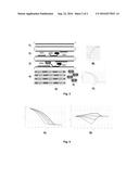 METHOD, KIT AND PREMIX FOR QUANTITATIVE AND DISCRIMINATIVE DETERMINATION     OF NUCLEIC ACIDS, QDPCR; IN VITRO METHOD FOR THE QUANTITATIVE AND     DISCRIMINATIVE DIAGNOSIS OF BIOLOGICAL ENTITIES diagram and image