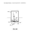 SYSTEMS AND METHODS FOR BIOLOGICAL ANALYSIS AND COMPUTATION diagram and image