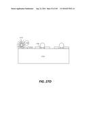 SYSTEMS AND METHODS FOR BIOLOGICAL ANALYSIS AND COMPUTATION diagram and image