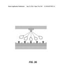 SYSTEMS AND METHODS FOR BIOLOGICAL ANALYSIS AND COMPUTATION diagram and image