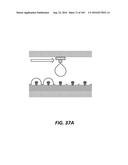 SYSTEMS AND METHODS FOR BIOLOGICAL ANALYSIS AND COMPUTATION diagram and image