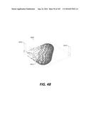 SYSTEMS AND METHODS FOR BIOLOGICAL ANALYSIS AND COMPUTATION diagram and image