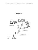 IN SITU HYBRIDIZATION DETECTION METHOD diagram and image