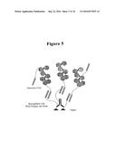 IN SITU HYBRIDIZATION DETECTION METHOD diagram and image