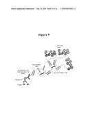 IN SITU HYBRIDIZATION DETECTION METHOD diagram and image