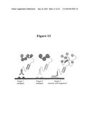 IN SITU HYBRIDIZATION DETECTION METHOD diagram and image