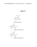 IN SITU HYBRIDIZATION DETECTION METHOD diagram and image