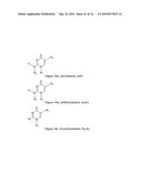 IN SITU HYBRIDIZATION DETECTION METHOD diagram and image