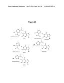 IN SITU HYBRIDIZATION DETECTION METHOD diagram and image