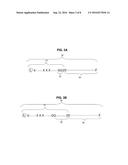 PHOTOINDUCED ELECTRON TRANSFER (PET) PRIMER FOR NUCLEIC ACID AMPLIFICATION diagram and image