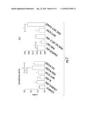 USE OF THE ZMIZ1 MARKER IN DIRECTING TREATMENT AND PREDICTING SURVIVAL IN     CANCER diagram and image