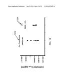 METHOD AND APPARATUS FOR QUANTITATIVE AND DEPTH RESOLVED HYPERSPECTRAL     FLUORESCENCE AND REFLECTANCE IMAGING FOR SURGICAL GUIDANCE diagram and image