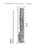 Method and System for Diagnosing Uterine Contraction Levels Using Image     Analysis diagram and image